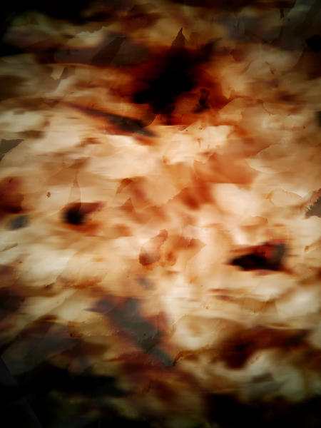 File:Mush5.png