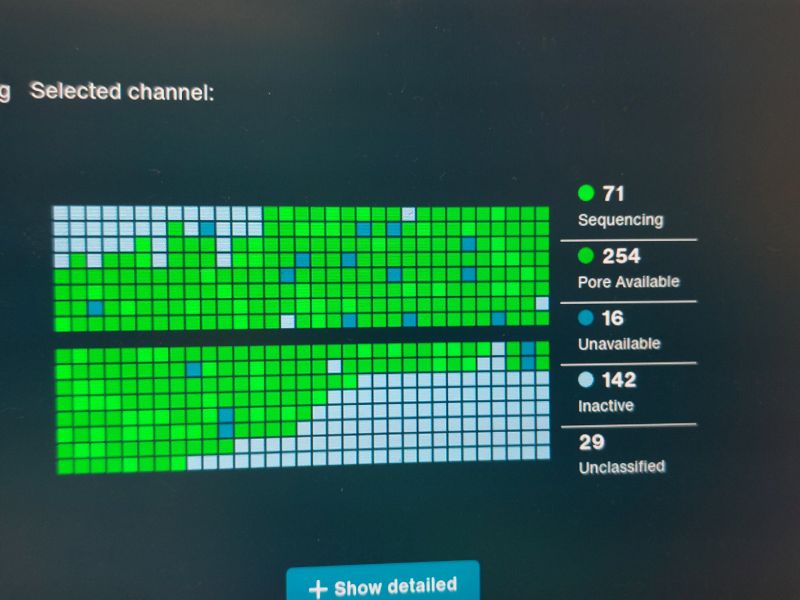 File:Nanopore active cells.jpg