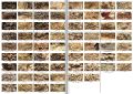 Thumbnail for version as of 14:19, 18 July 2025