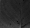 Thumbnail for version as of 16:10, 7 January 2013