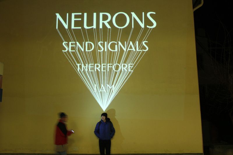 File:Neuron light wiki.jpg