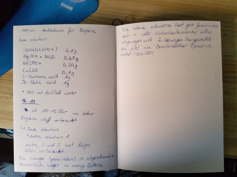 File:Notebookentry.jpg