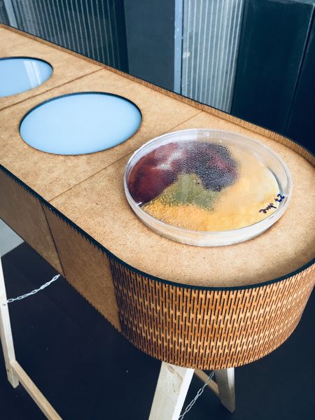 File:ORGANISMUS MANIFESTO DEVICE1.JPG