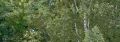 Thumbnail for version as of 23:26, 10 August 2022