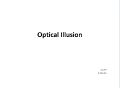 Optical illusion 1.jpg