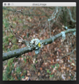 Thumbnail for version as of 15:41, 6 December 2015