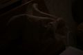 Thumbnail for version as of 23:23, 6 November 2022