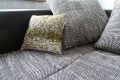 P1080760 Moos.JPG
