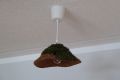P1080768 Moos.JPG