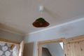 P1080775 Moos.JPG