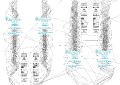 Thumbnail for version as of 16:55, 2 August 2011