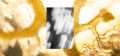 Thumbnail for version as of 19:58, 27 March 2022