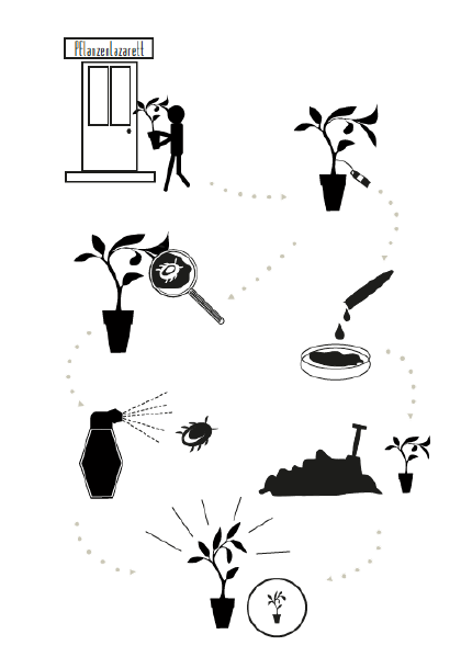 File:Pflanzenlazarett Ablaufpictogramm.pdf