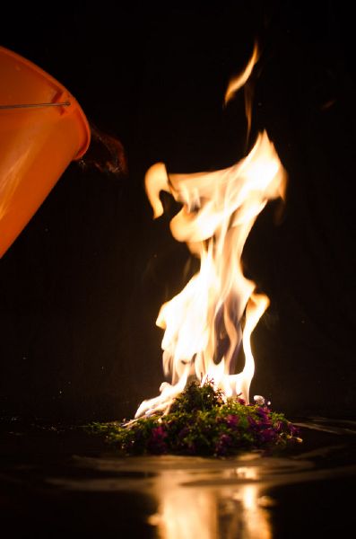 File:Phönix DSC6774.jpg