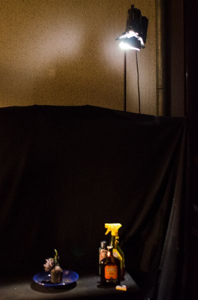 File:Phönix DSC7945.jpg