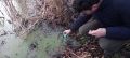 Thumbnail for version as of 19:15, 26 January 2025