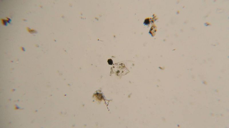 File:Photo 2024-11-19 10-33-09.jpg