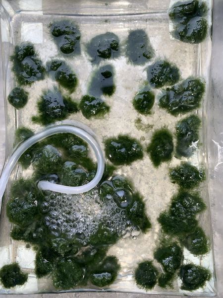 File:Photo 2025-02-25 23-51-33.jpg