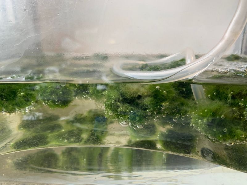 File:Photo 2025-02-26 00-06-56.jpg