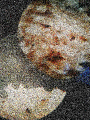 Thumbnail for version as of 18:58, 7 December 2020