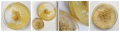 Thumbnail for version as of 16:34, 8 June 2020