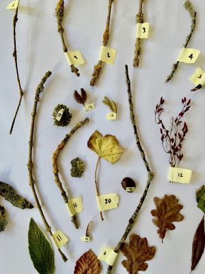 Pigment seriesIII.jpg