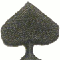 Thumbnail for version as of 10:11, 22 November 2011