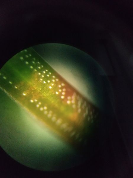 File:Pino-4-dn.jpg