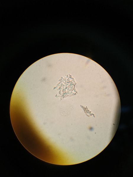 File:Pipette-2-7-dn.jpg