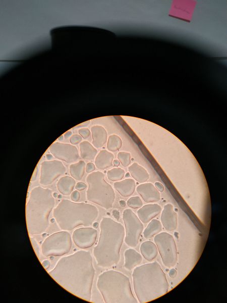 File:Pipette-3-7-dn.jpg