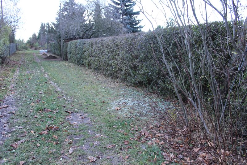 File:Plant 01 outside.jpg
