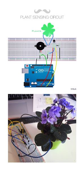 File:Plantsensing.jpg