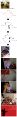 Thumbnail for version as of 08:53, 16 September 2013