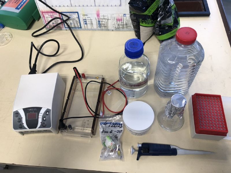 File:Prepare GelElectrophoresis.jpg