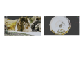 Thumbnail for version as of 05:58, 29 October 2021