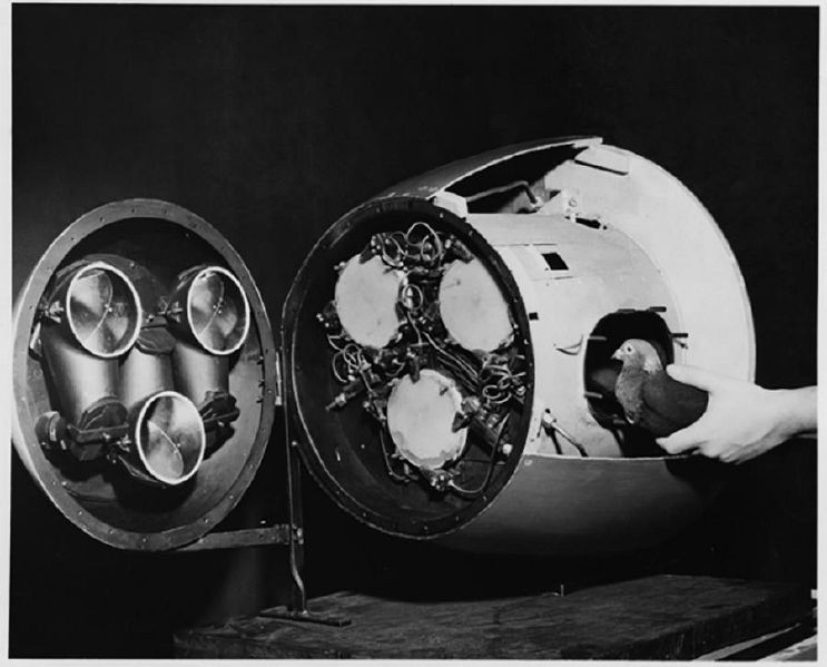 File:Project-pigeon-1-x640.jpg