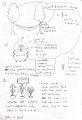 Thumbnail for version as of 15:23, 28 November 2024