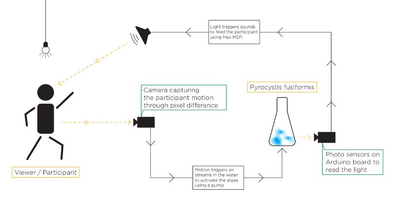 File:Projekt Schema final-01.jpg