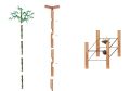 Thumbnail for version as of 13:18, 2 February 2017