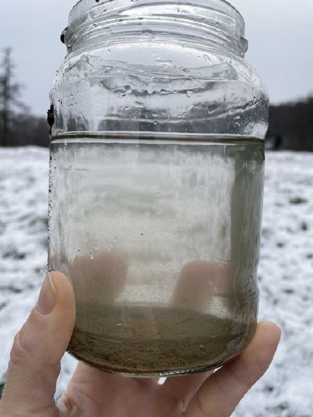 File:R2 1 daphnia sample1.jpg