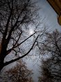 Thumbnail for version as of 18:13, 11 January 2023