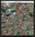Thumbnail for version as of 22:49, 5 December 2015