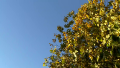 Thumbnail for version as of 14:28, 3 November 2013