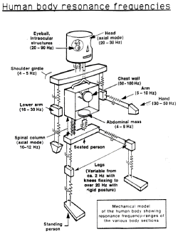 Resonance body.png