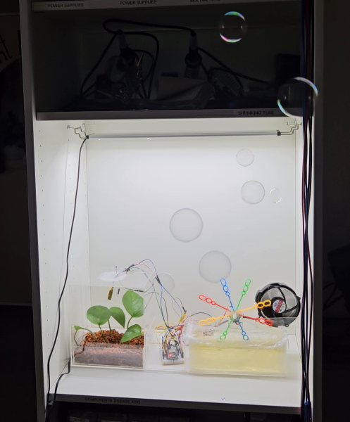 File:Respiring Reflections image 1.png