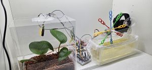 Respiring Reflections image 2.jpg