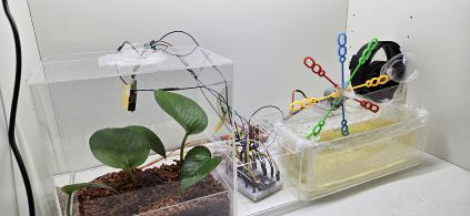 Respiring Reflections image 2.jpg