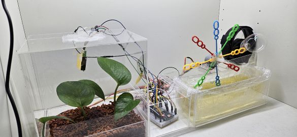 Respiring Reflections image 2.jpg