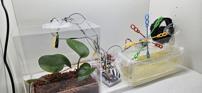 Respiring Reflections image 2.jpg