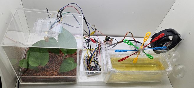 Respiring Reflections image 3.jpg